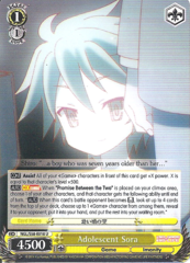 NGL/S58-E010 U Adolescent Sora